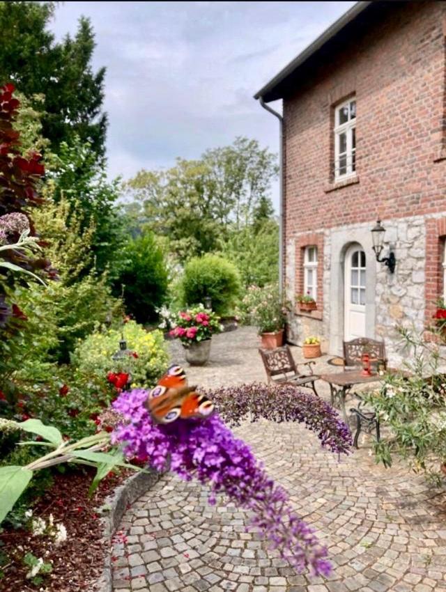 Haus Bergstrasse Daire Stolberg  Dış mekan fotoğraf